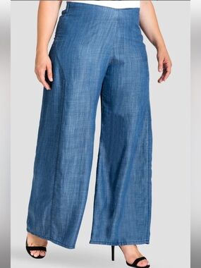 NWT STANDARDS AND PRACTICES Perry Denim Tencel Palazzo Pants 2X
